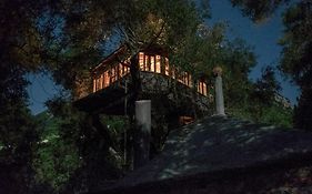 Margaritis'S Treehouse
